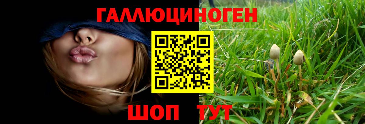 Псилоцибиновые грибы GOLDEN TEACHER Карталы